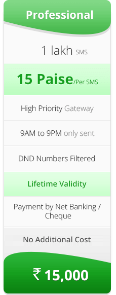 synic-promotional-bulk-sms-professional-pack